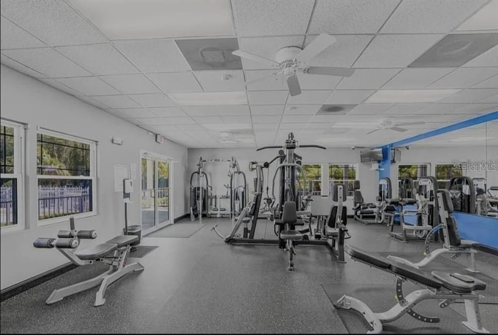 В аренду: $2,350 (3 спален, 2 ванн, 1596 Квадратных фут)