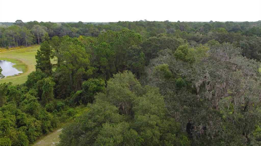 For Sale: $269,900 (10.00 acres)