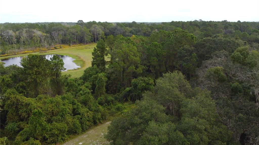 For Sale: $269,900 (10.00 acres)