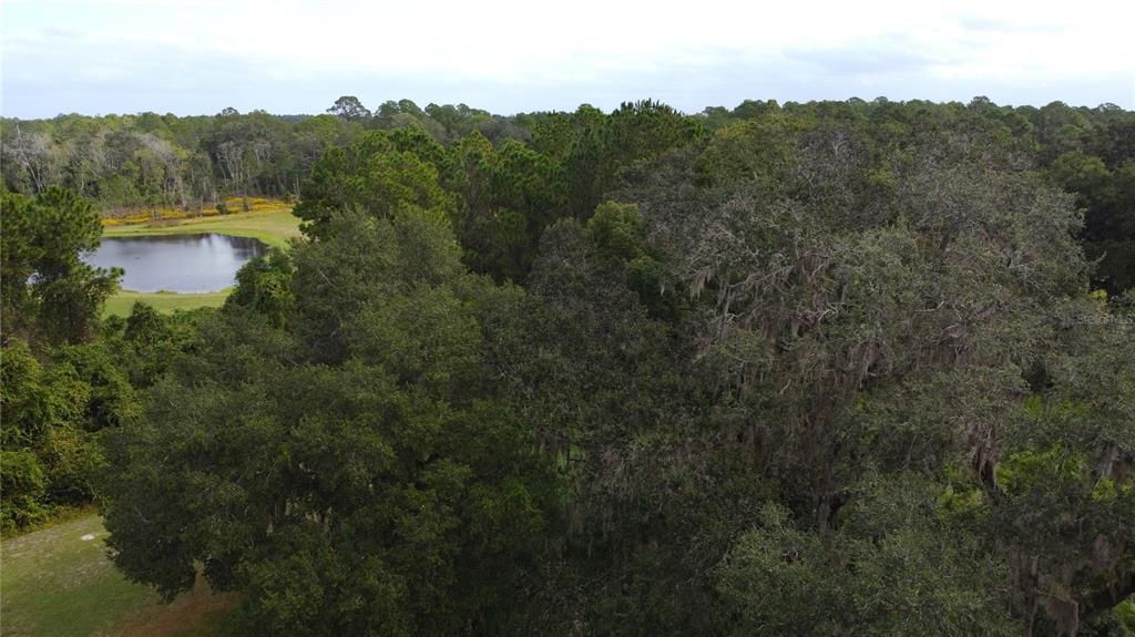 For Sale: $269,900 (10.00 acres)