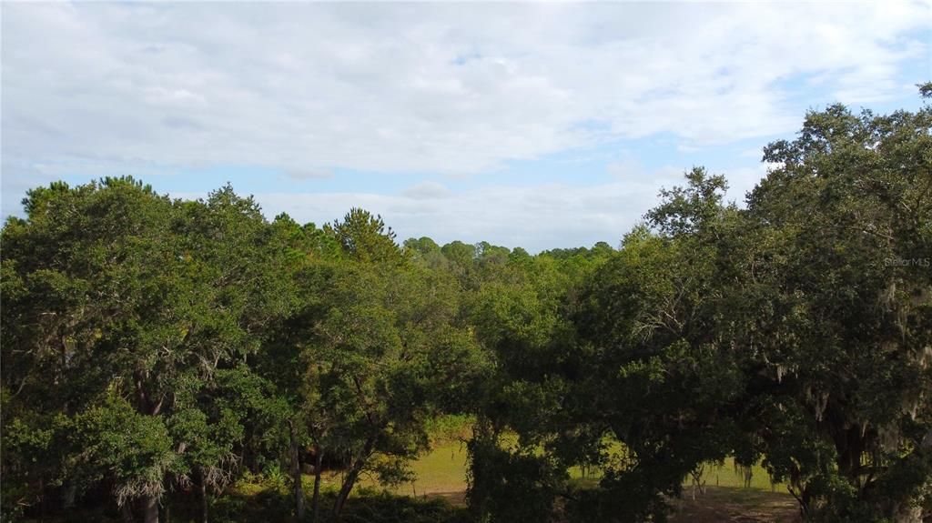 For Sale: $269,900 (10.00 acres)