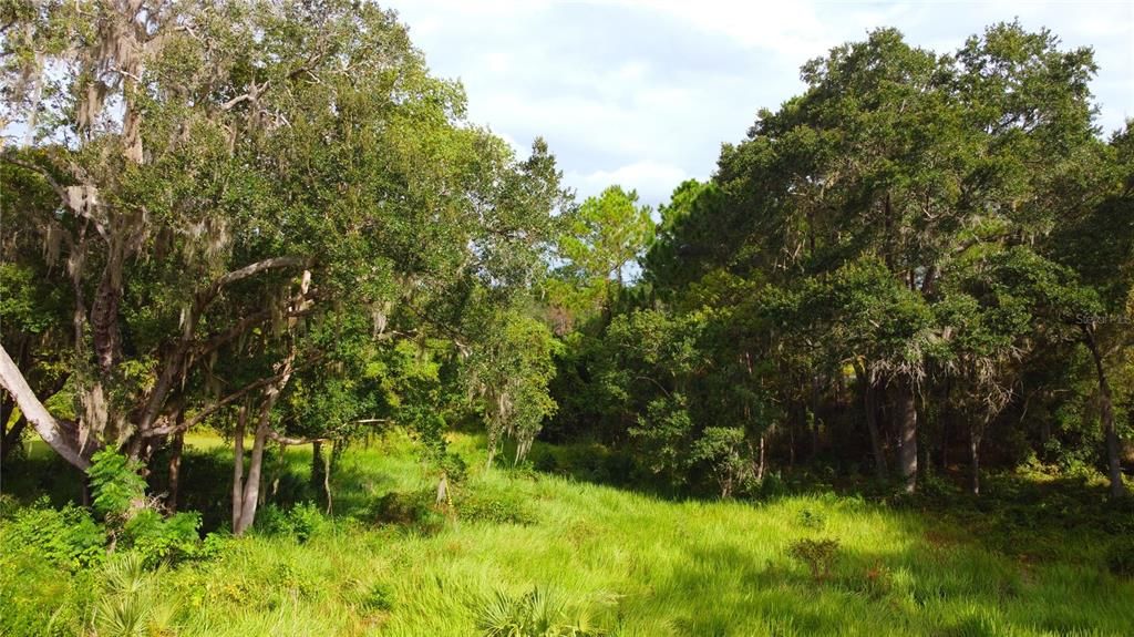 For Sale: $269,900 (10.00 acres)