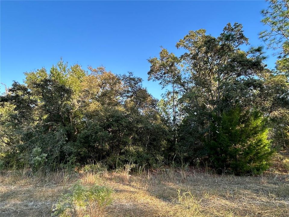 For Sale: $12,000 (0.23 acres)