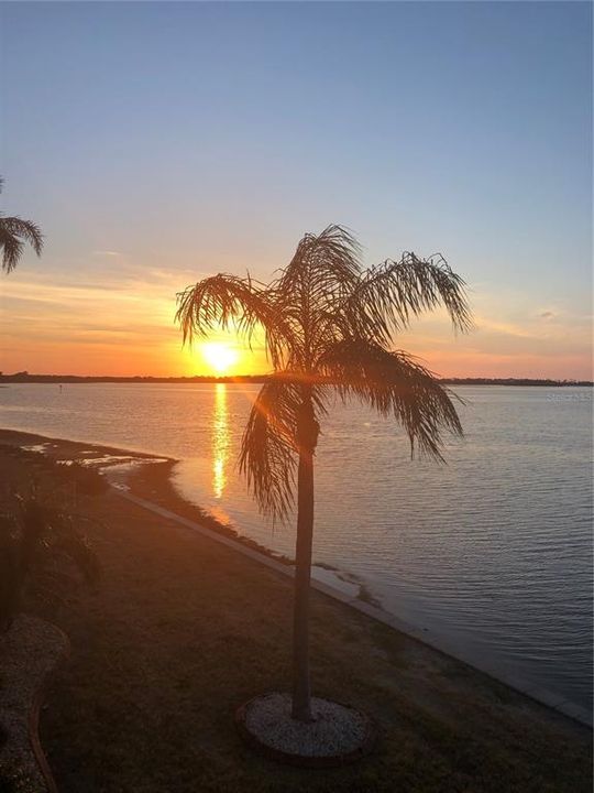 На продажу: $324,998 (1 спален, 1 ванн, 957 Квадратных фут)