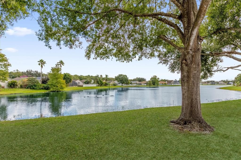 Active With Contract: $345,000 (3 beds, 2 baths, 1260 Square Feet)