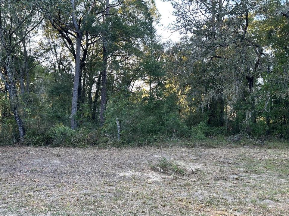 En Venta: $12,000 (0.23 acres)