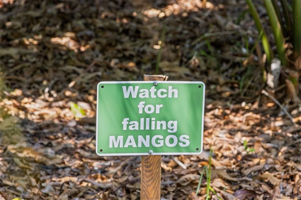 На продажу: $650,000 (3 спален, 2 ванн, 1482 Квадратных фут)