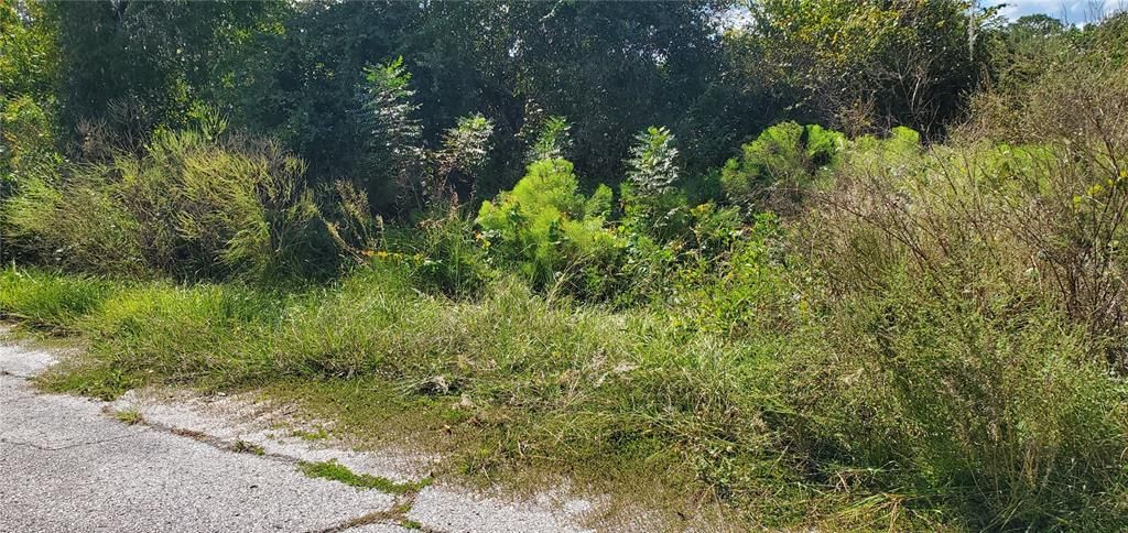 For Sale: $28,500 (0.46 acres)