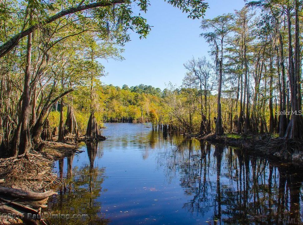 待售: $26,000 (1.14 acres)