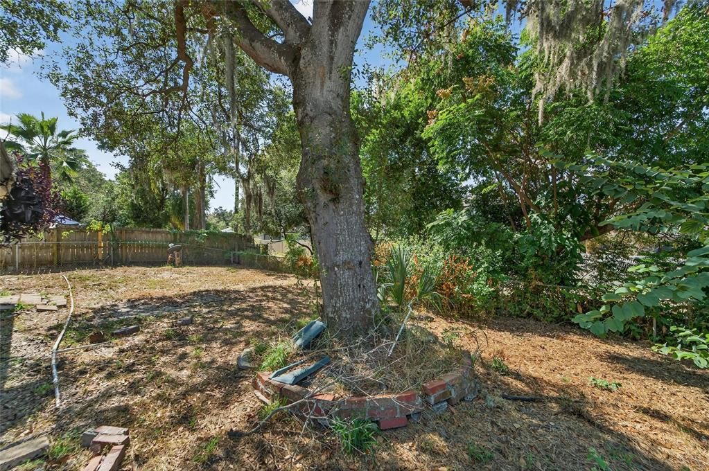 出租: $2,195 (4 贝兹, 2 浴室, 1571 平方英尺)