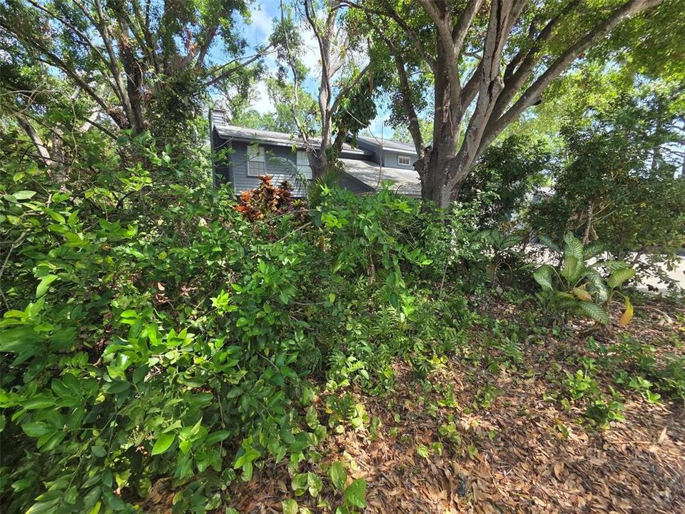 出租: $3,350 (3 贝兹, 2 浴室, 2829 平方英尺)