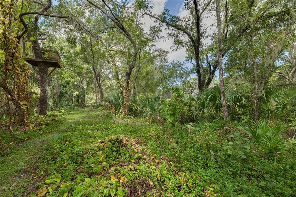 待售: $899,000 (5 贝兹, 3 浴室, 3201 平方英尺)