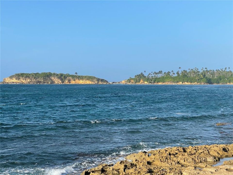 For Sale: $445,000 (3 beds, 2 baths, 2360 Square Feet)