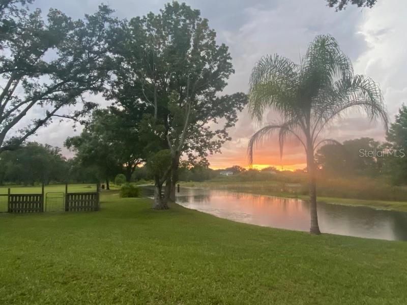 На продажу: $1,100,000 (4 спален, 2 ванн, 1825 Квадратных фут)