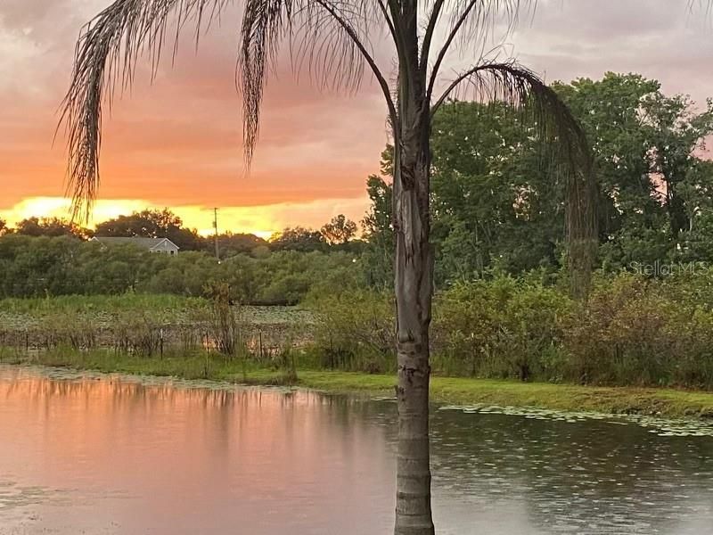 На продажу: $1,100,000 (4 спален, 2 ванн, 1825 Квадратных фут)