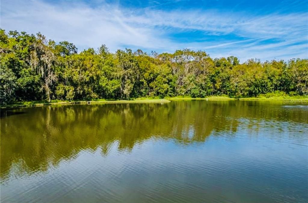 En Venta: $229,900 (2 camas, 2 baños, 1317 Pies cuadrados)