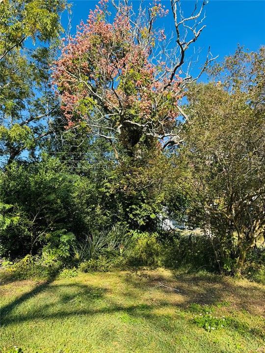 En Venta: $156,500 (2 camas, 1 baños, 1200 Pies cuadrados)