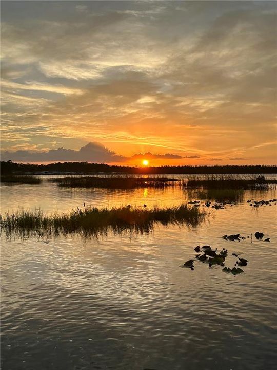 Под контрактом: $450,000 (3 спален, 2 ванн, 1788 Квадратных фут)