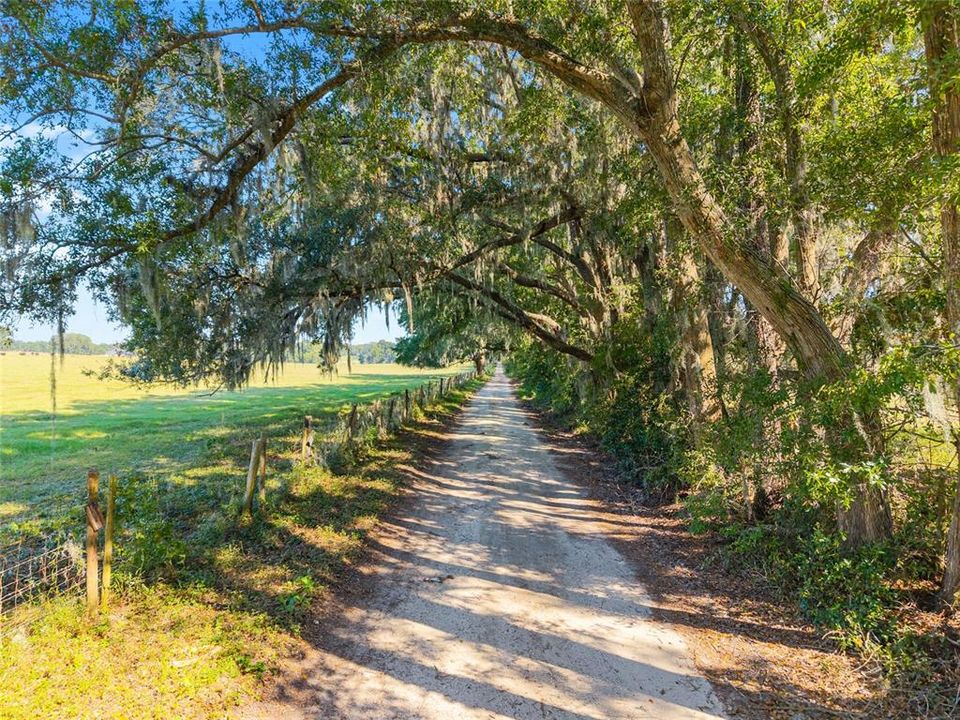 待售: $375,000 (2 贝兹, 2 浴室, 1144 平方英尺)