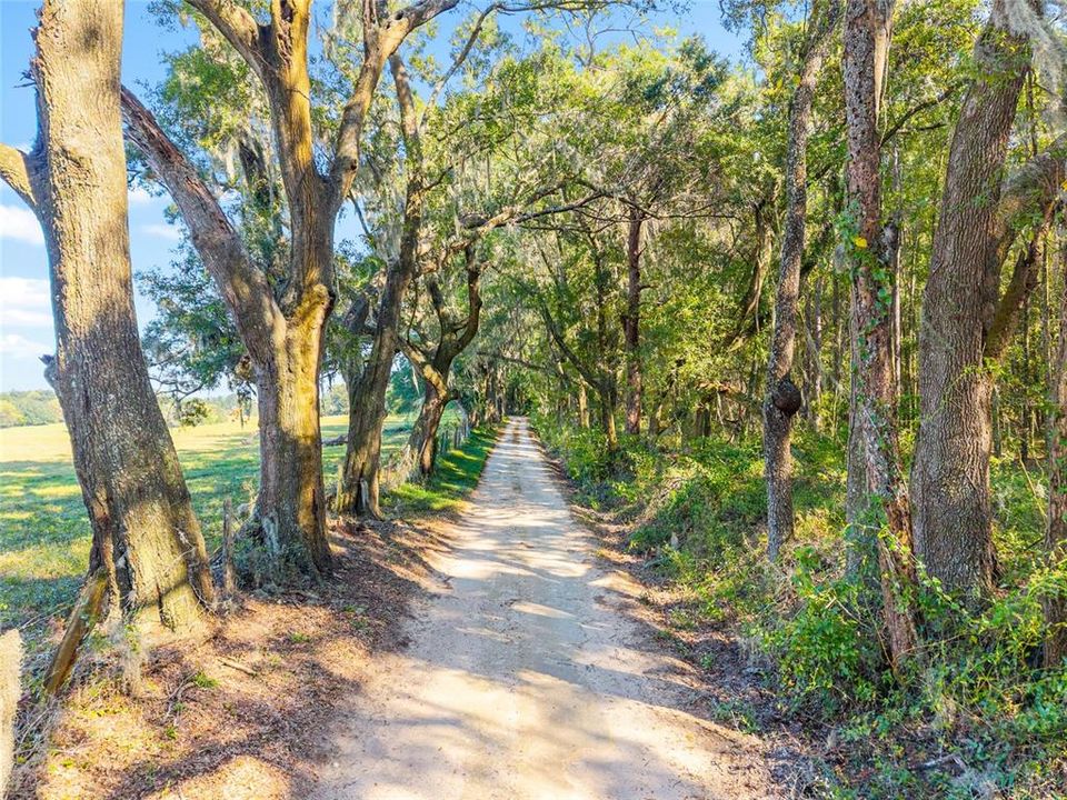 待售: $375,000 (2 贝兹, 2 浴室, 1144 平方英尺)