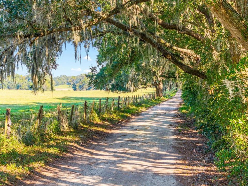 待售: $375,000 (2 贝兹, 2 浴室, 1144 平方英尺)