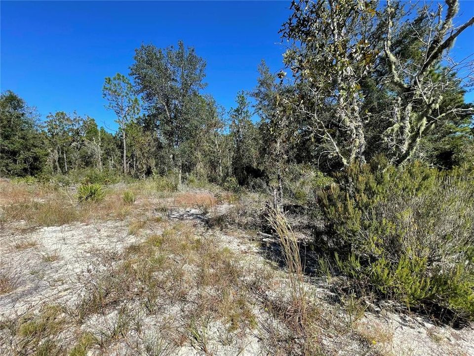 For Sale: $75,000 (1.26 acres)