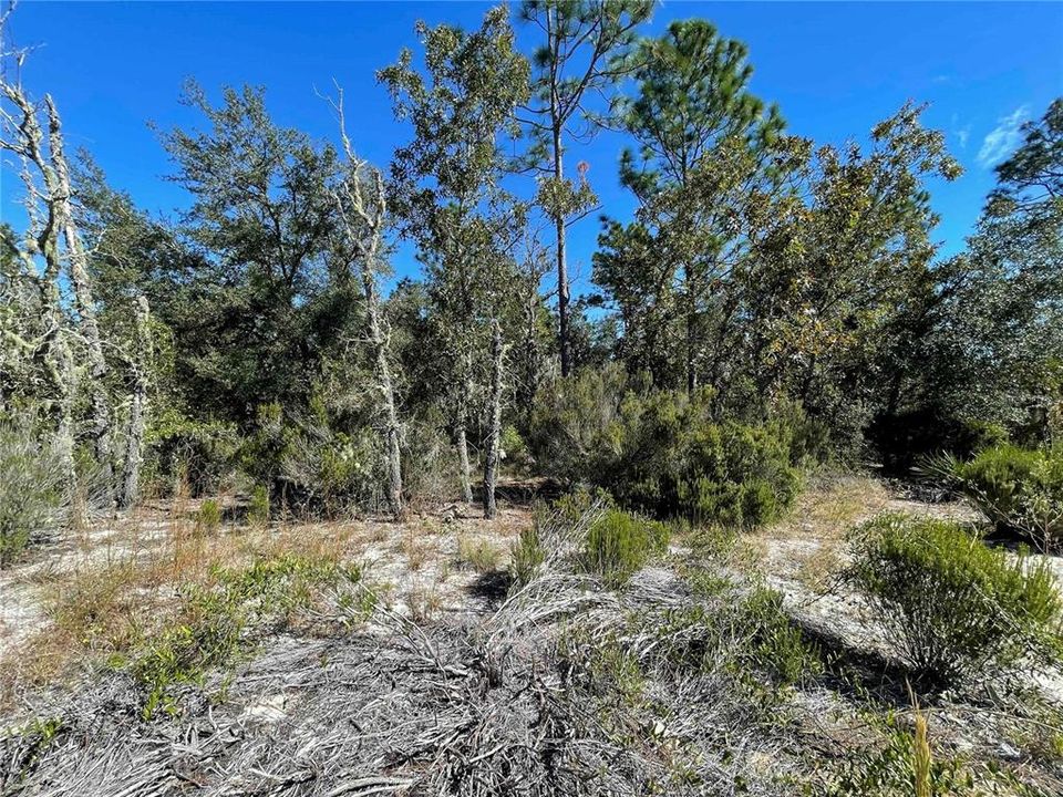 For Sale: $75,000 (1.26 acres)