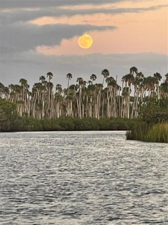 For Sale: $489,999 (3 beds, 3 baths, 2204 Square Feet)