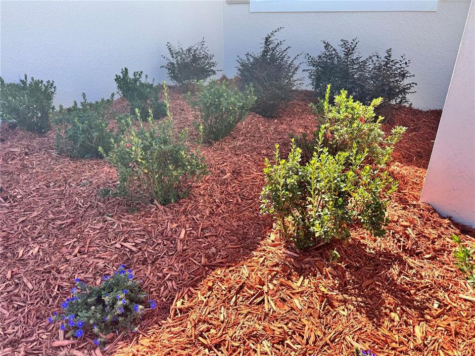 合同活跃: $459,000 (4 贝兹, 2 浴室, 2463 平方英尺)