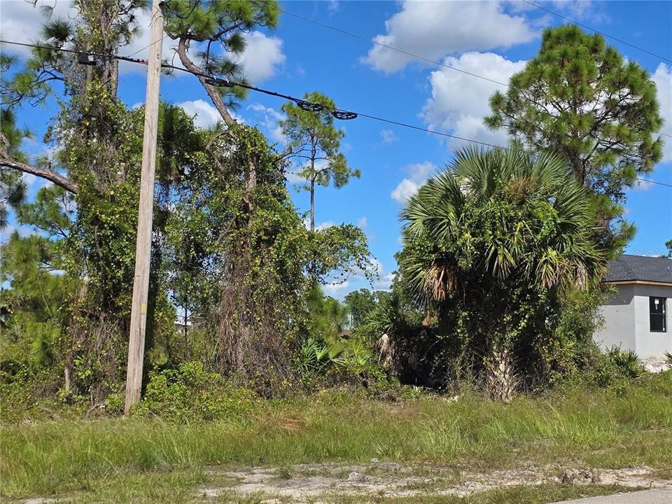 For Sale: $27,000 (0.23 acres)