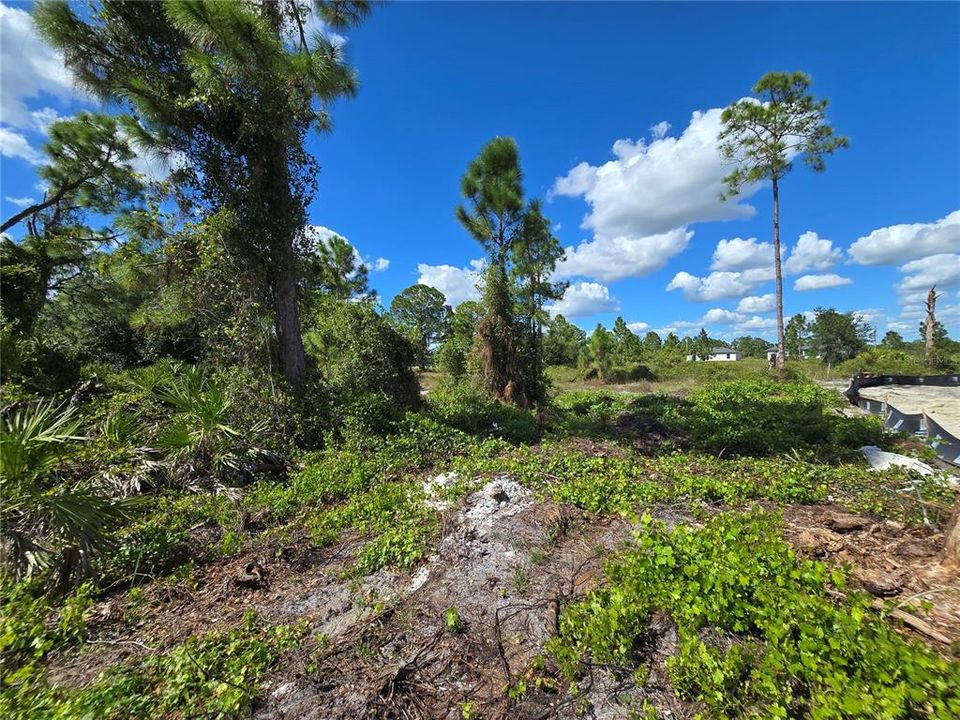 For Sale: $27,000 (0.23 acres)