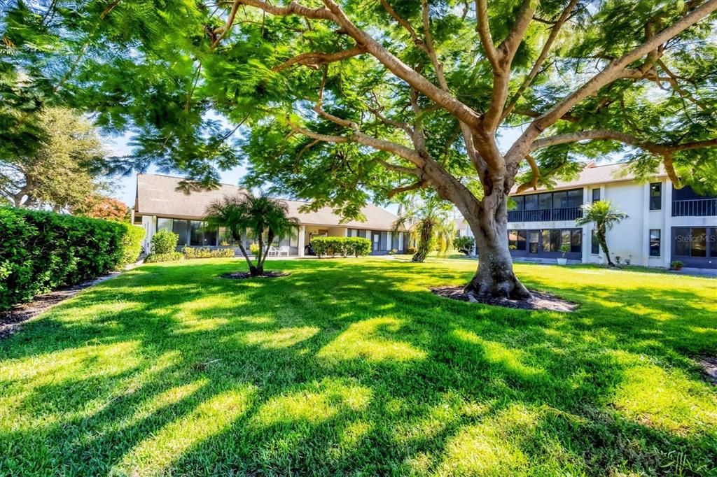 Под контрактом: $199,900 (2 спален, 2 ванн, 1194 Квадратных фут)