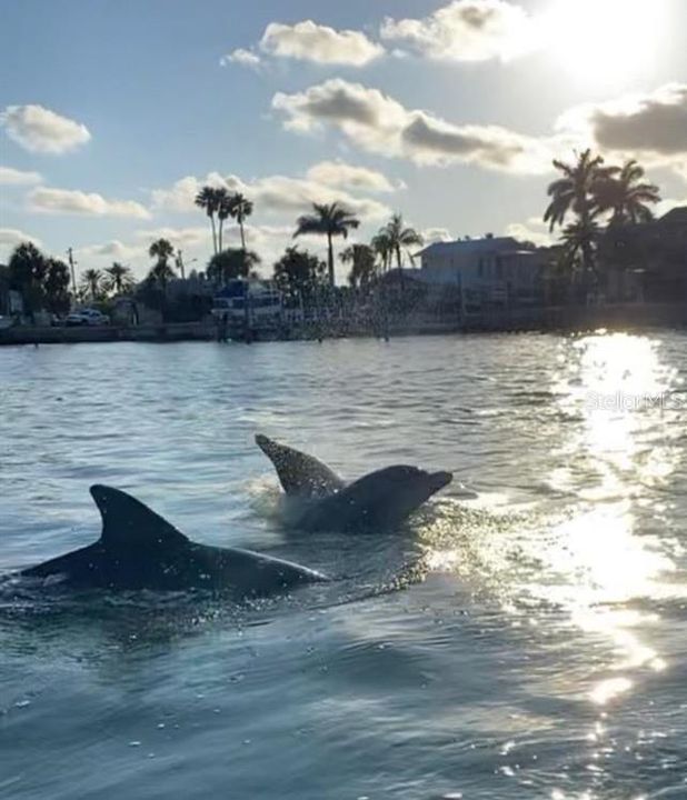 Active With Contract: $329,500 (3 beds, 1 baths, 1126 Square Feet)