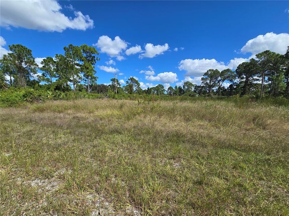 For Sale: $28,000 (0.23 acres)