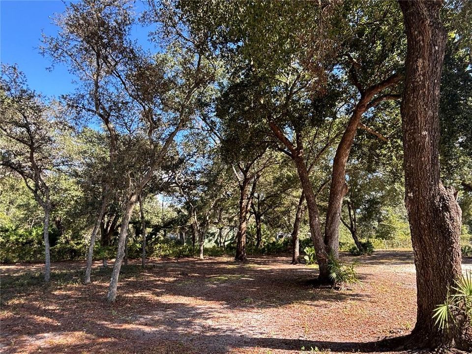 For Sale: $399,000 (5 beds, 4 baths, 3288 Square Feet)