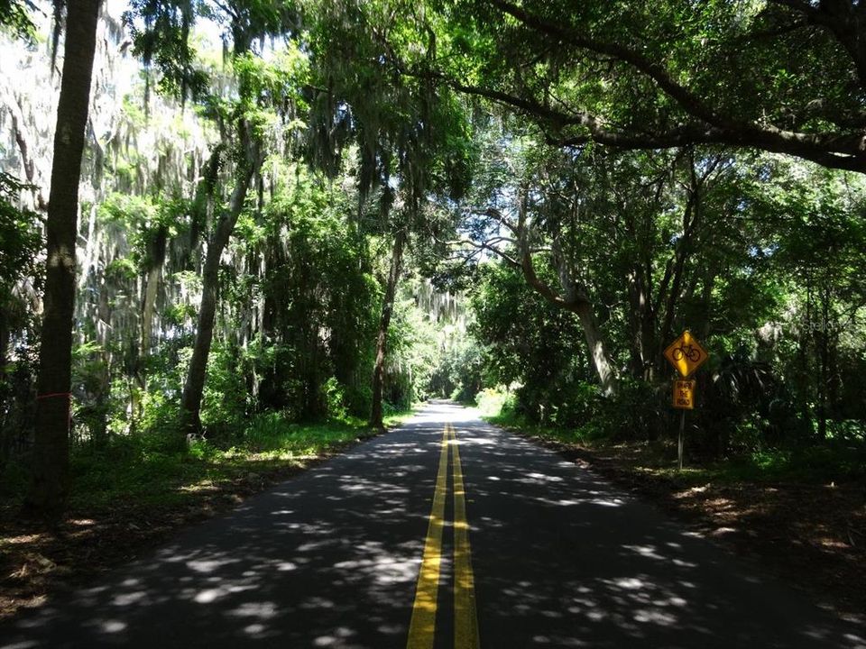 合同活跃: $199,000 (3.81 acres)