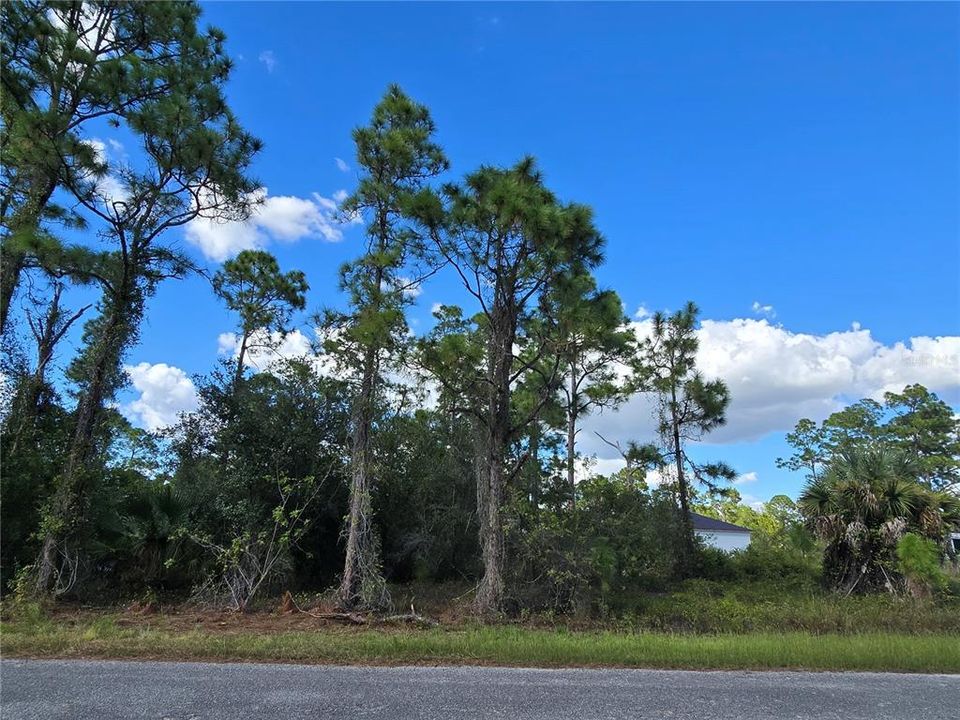 待售: $25,800 (0.23 acres)