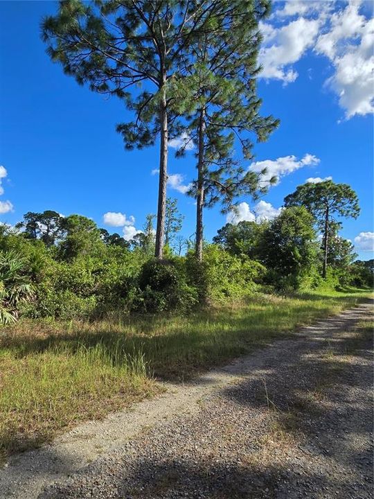 For Sale: $67,600 (0.23 acres)