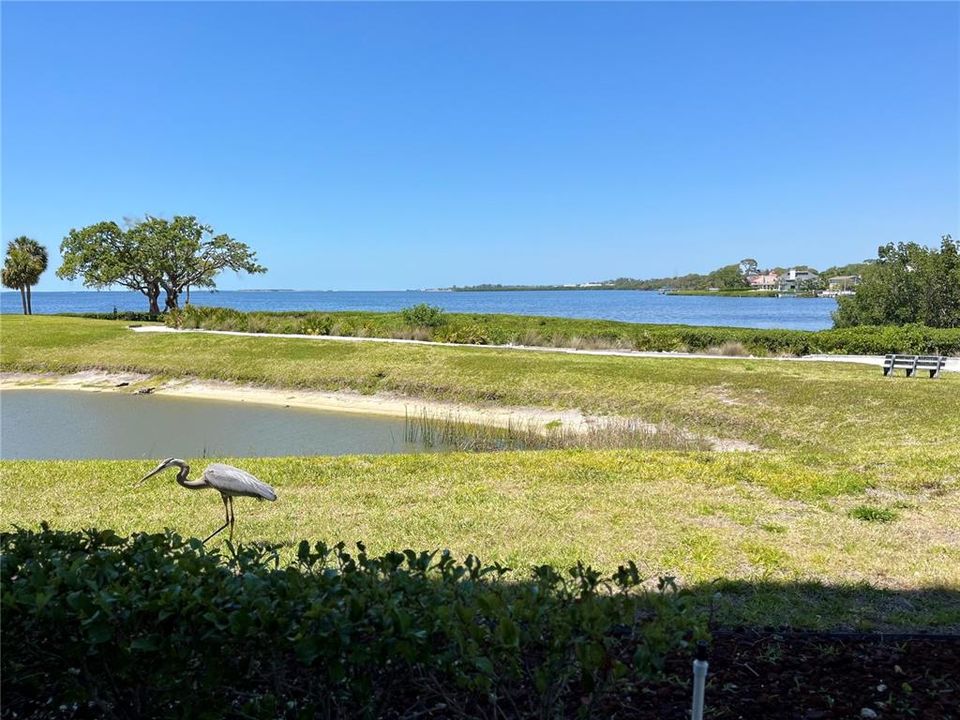 待售: $299,000 (2 贝兹, 2 浴室, 1280 平方英尺)