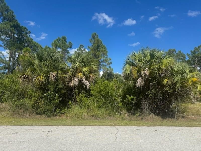 For Sale: $24,900 (0.23 acres)