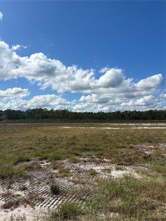 待售: $300,000 (5.06 acres)