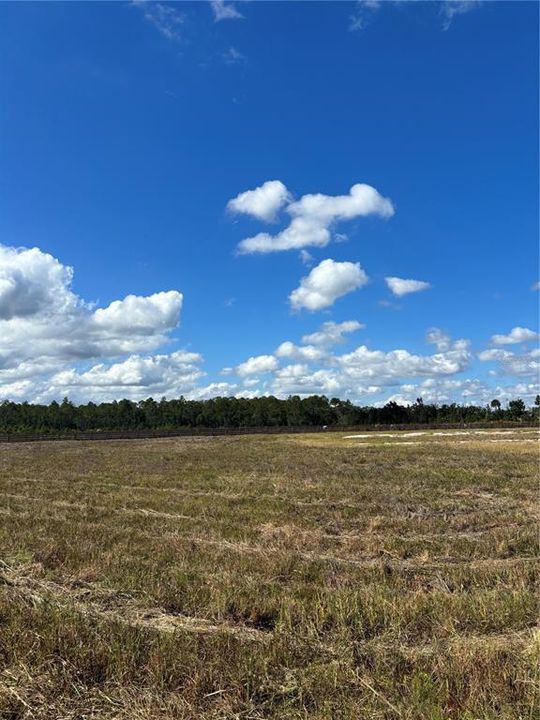 待售: $300,000 (5.06 acres)