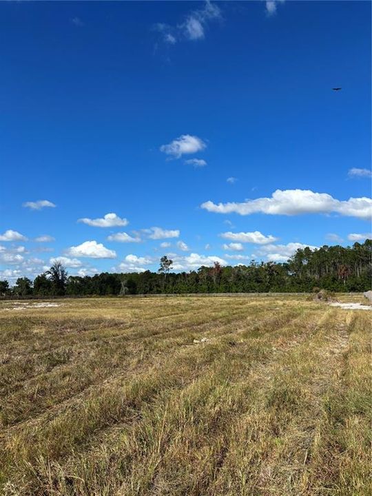 待售: $300,000 (5.06 acres)