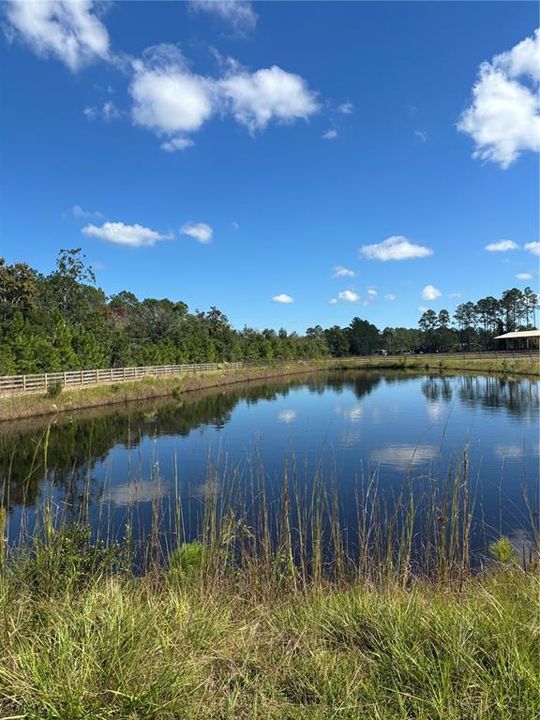 待售: $300,000 (5.06 acres)