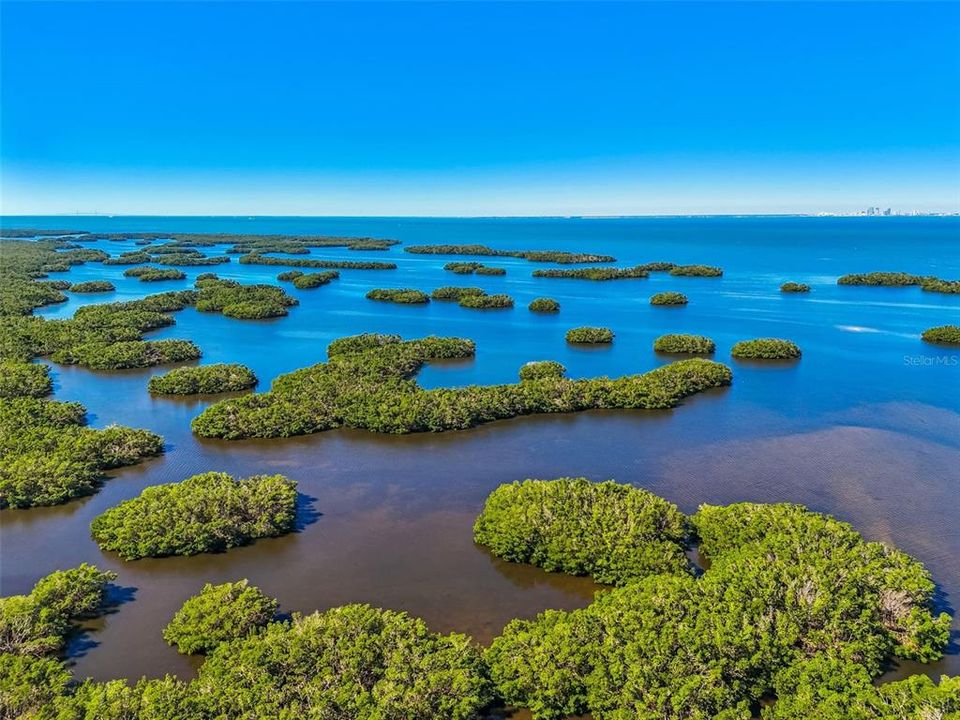 Active With Contract: $475,000 (2 beds, 2 baths, 1618 Square Feet)