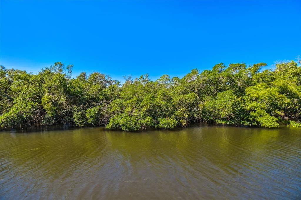 Active With Contract: $475,000 (2 beds, 2 baths, 1618 Square Feet)