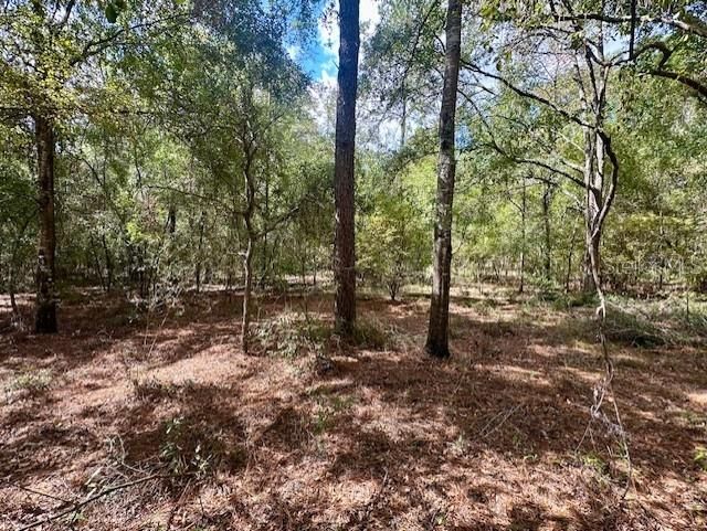 Недавно продано: $23,500 (1.13 acres)