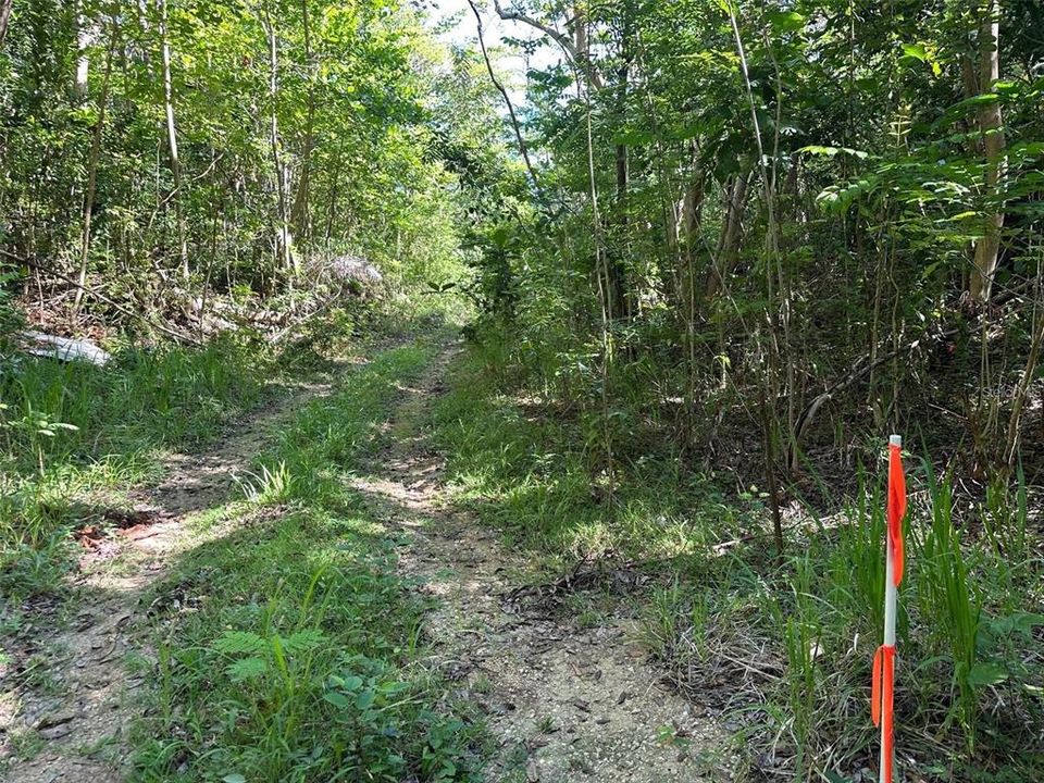 待售: $269,000 (0.49 acres)