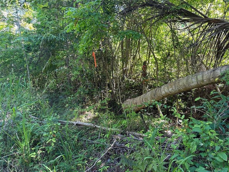 待售: $269,000 (0.49 acres)