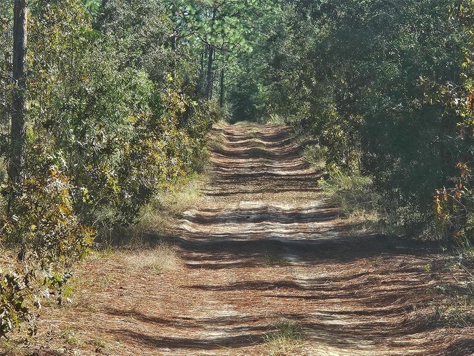 На продажу: $250,000 (4.62 acres)